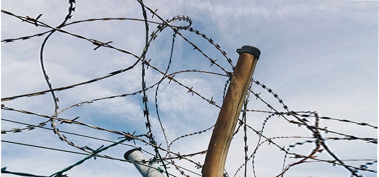 Criminal Process, Part II: Formal Bringing of Charges