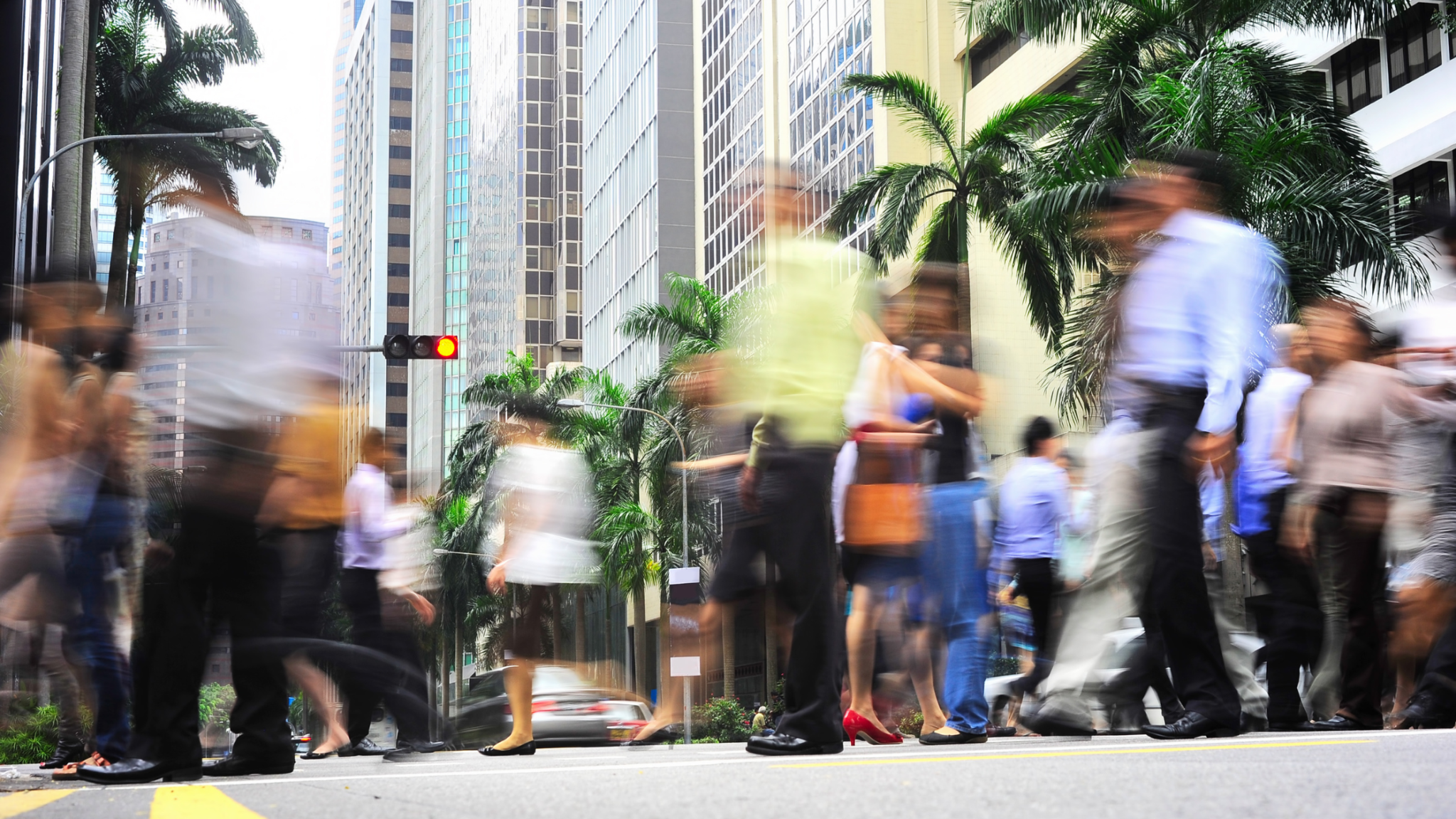 Are Shareholder Disputes Derailing Your Business?