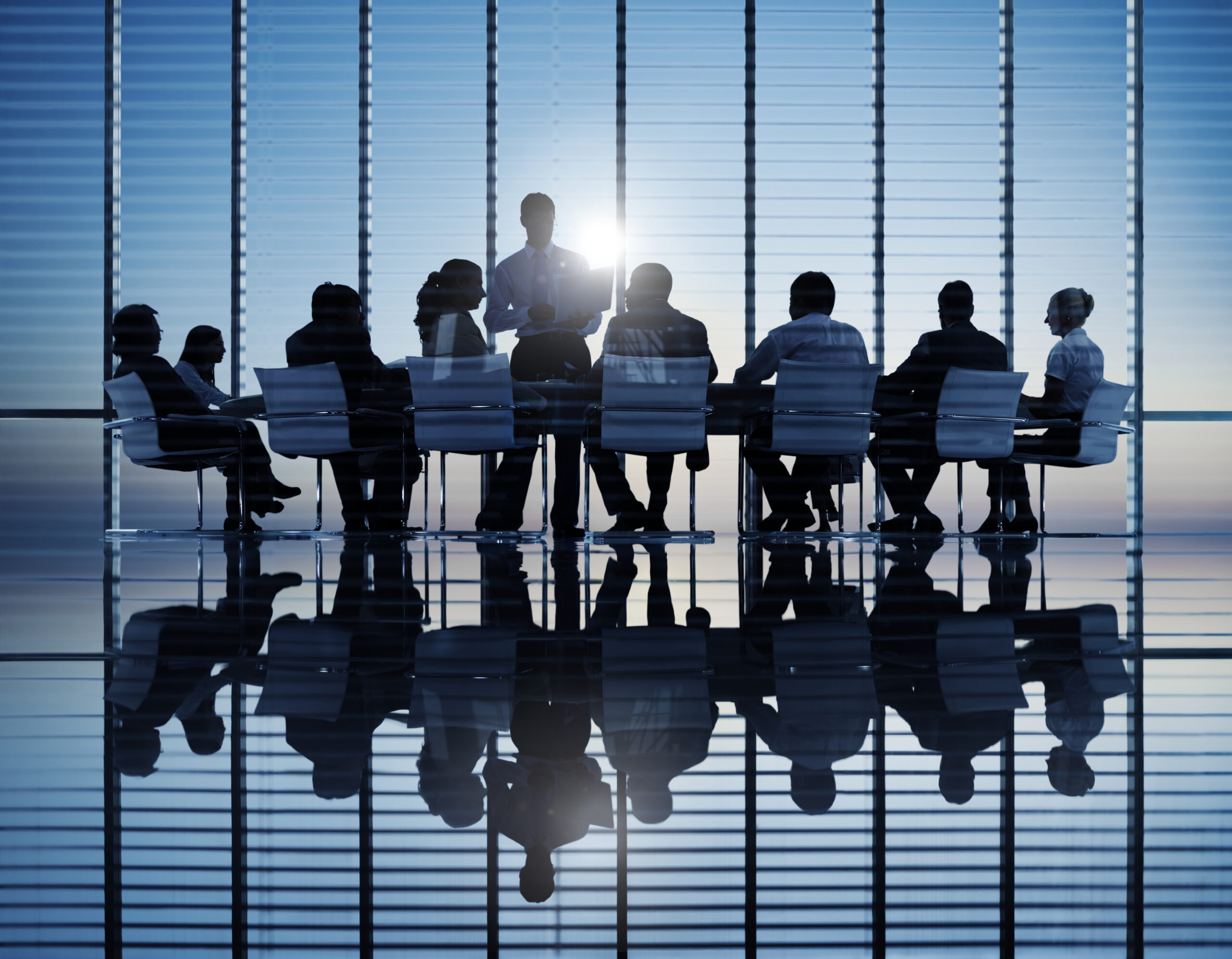 Reflective Loss Principle: Why Shareholders Can’t Always Claim for the Company’s Decrease in Value