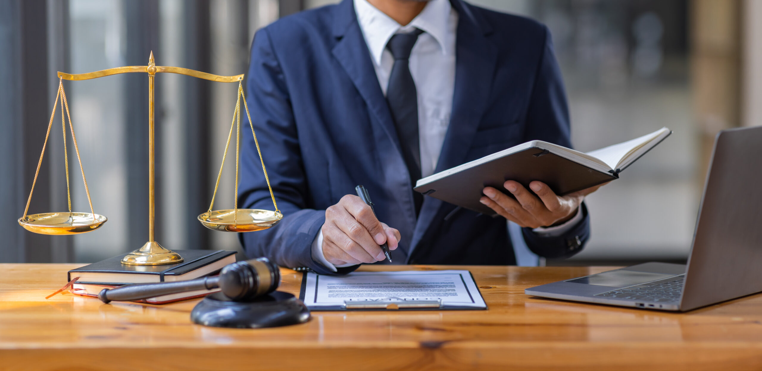 Lawyer holding a book